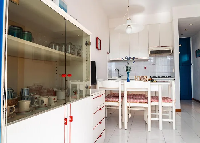 With Sunny Terrace In